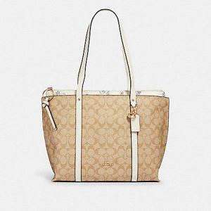 Coach Signature May 2320 Tote Bag With Dandelion Floral Print In Light Khaki Chalk Multi