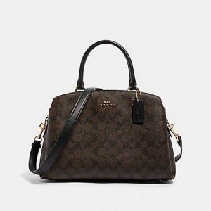 Coach Signature Lillie Carryall Bag 91495 In Brown Black