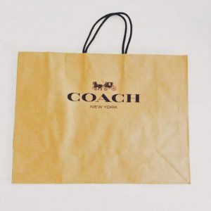 Coach Large Handbag Paper Bag